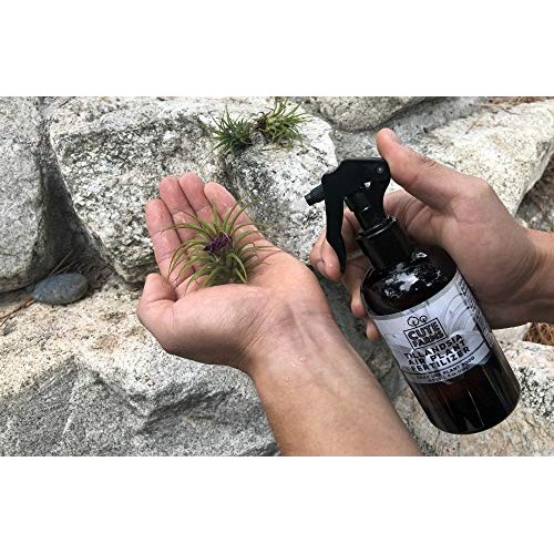 Cute Farms Tillandsia Air Plant Fertilizer | Gentle Daily Use Form...