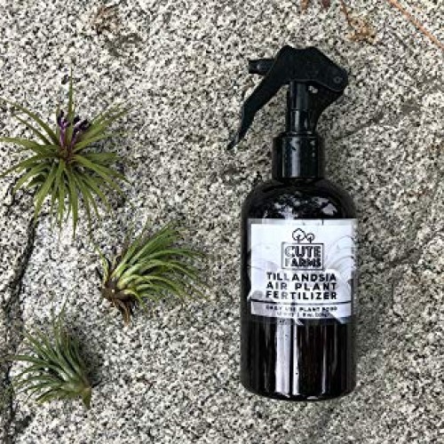 Cute Farms Tillandsia Air Plant Fertilizer | Gentle Daily Use Form...