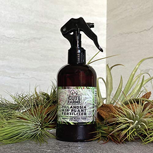Cute Farms Tillandsia Air Plant Fertilizer | Gentle Weekly Use For...