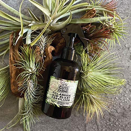 Cute Farms Tillandsia Air Plant Fertilizer | Gentle Weekly Use For...