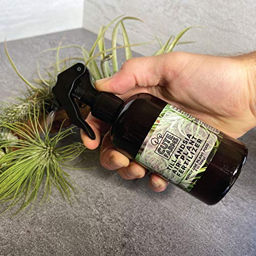 Cute Farms Tillandsia Air Plant Fertilizer | Gentle Weekly Use For...