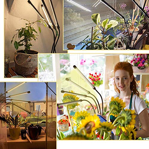 CXhome Grow Light 80 LEDs Plant Lights Grow Lamp Upgraded with Cyc...