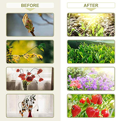 CXhome Grow Light 80 LEDs Plant Lights Grow Lamp Upgraded with Cyc...