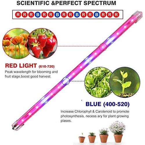 CXhome Plant Light T5 Red & Blue 4 Packs Grow Lights with Auto Cyc...