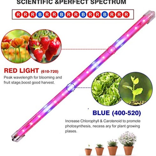 CXhome Plant Light T5 Red & Blue 4 Packs Grow Lights with Auto Cyc...