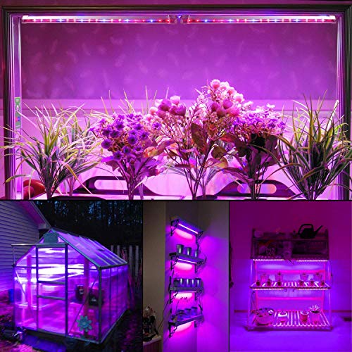 CXhome Plant Light T5 Red & Blue 4 Packs Grow Lights with Auto Cyc...