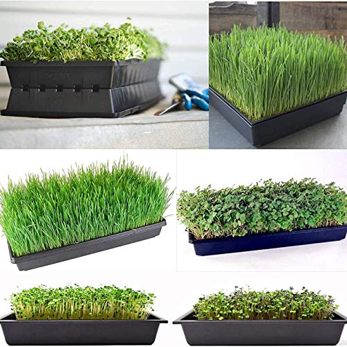 CXLL Plant Trays Without Holes, Cell Seedling Trays Gardening Germ...