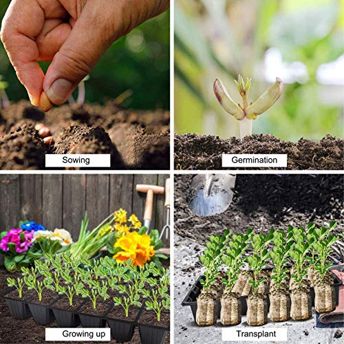 CXLL Plant Trays Without Holes, Cell Seedling Trays Gardening Germ...