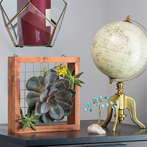 Air Plants Frame Bromeliads Wall Holder DIY Airplant Hanger Tillan...