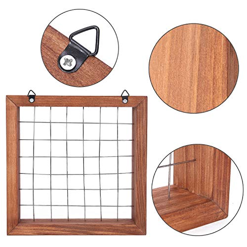 Air Plants Frame Bromeliads Wall Holder DIY Airplant Hanger Tillan...