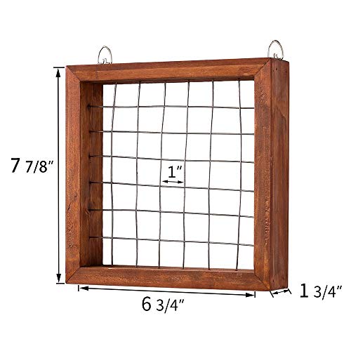 Air Plants Frame Bromeliads Wall Holder DIY Airplant Hanger Tillan...