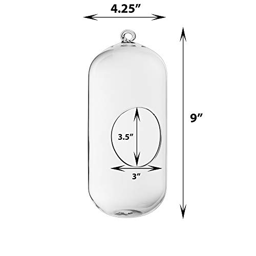CYS EXCEL 9 Hanging Glass Terrarium Capsule | Multiple Size Choic...