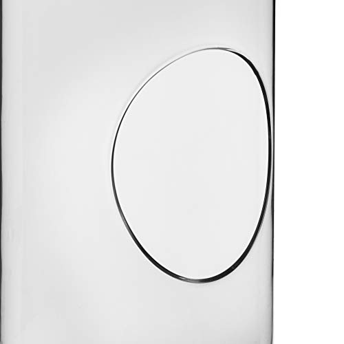 CYS EXCEL 9 Hanging Glass Terrarium Capsule | Multiple Size Choic...