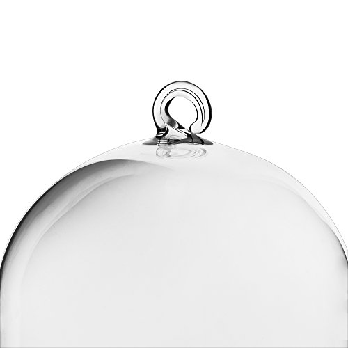 CYS EXCEL 9 Hanging Glass Terrarium Capsule | Multiple Size Choic...