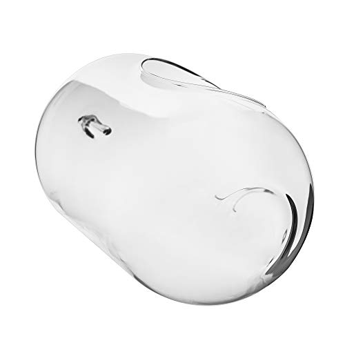 CYS EXCEL 9 Hanging Glass Terrarium Capsule | Multiple Size Choic...