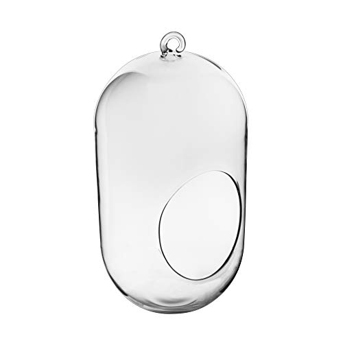 CYS EXCEL 9 Hanging Glass Terrarium Capsule | Multiple Size Choic...
