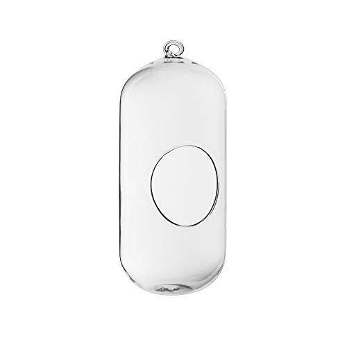 CYS EXCEL 9 Hanging Glass Terrarium Capsule | Multiple Size Choic...