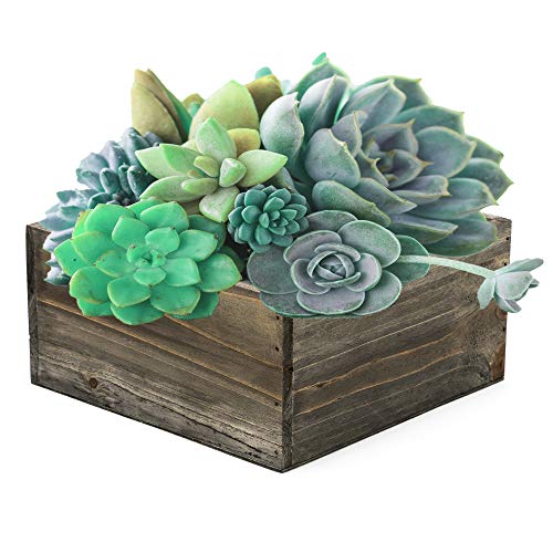 CYS EXCEL Wood Square Planter Box with Removable Zinc Metal Liner ...
