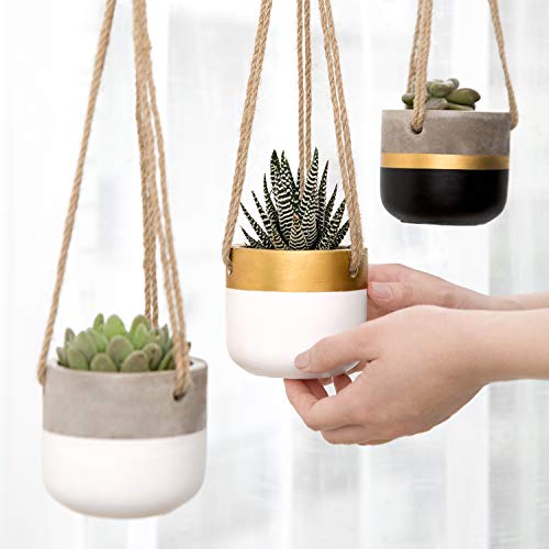 Dahey 3 Pack Small Cement Hanging Planter 3 Inch Succulent Pots wi...