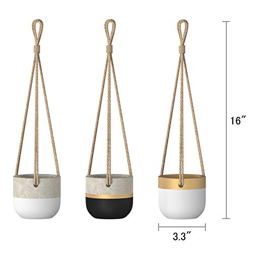 Dahey 3 Pack Small Cement Hanging Planter 3 Inch Succulent Pots wi...