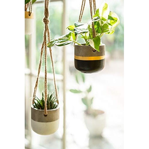 Dahey 3 Pack Small Cement Hanging Planter 3 Inch Succulent Pots wi...
