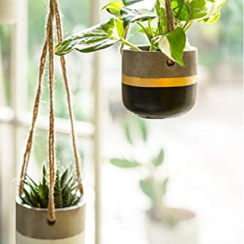 Dahey 3 Pack Small Cement Hanging Planter 3 Inch Succulent Pots wi...