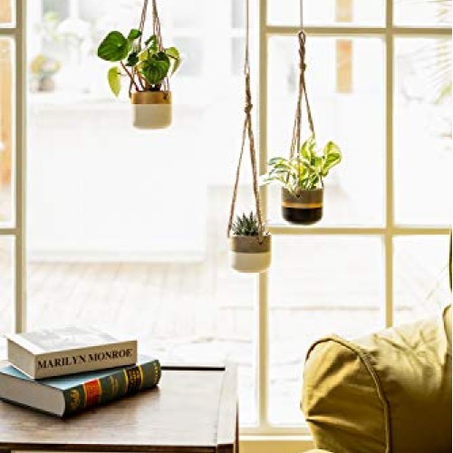 Dahey 3 Pack Small Cement Hanging Planter 3 Inch Succulent Pots wi...