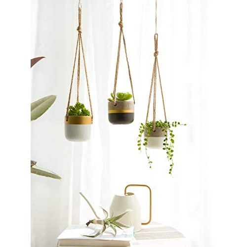 Dahey 3 Pack Small Cement Hanging Planter 3 Inch Succulent Pots wi...