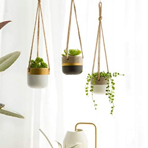 Dahey 3 Pack Small Cement Hanging Planter 3 Inch Succulent Pots wi...