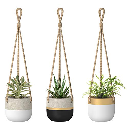 Dahey 3 Pack Small Cement Hanging Planter 3 Inch Succulent Pots wi...