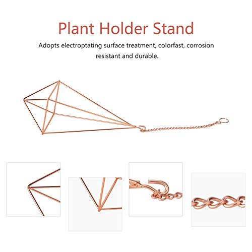 Dahey 3 Pcs Hanging Air Plant Holder Himmeli Geometric Planter Met...