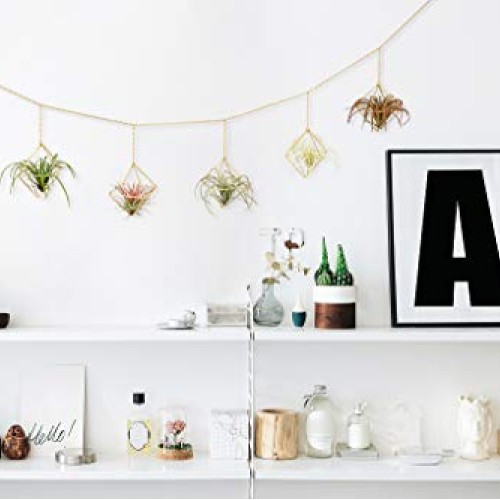 Dahey 6 Pcs Hanging Air Plant Holder Mini Metal Airplant Rack Hang...