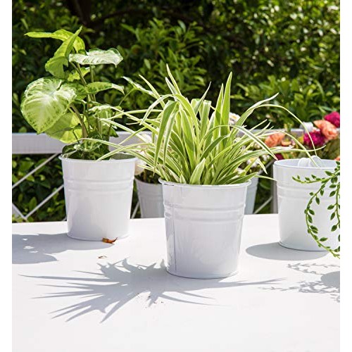 Dahey 8 Pcs Hanging Flower Pots Metal Iron Bucket Planter for Rail...