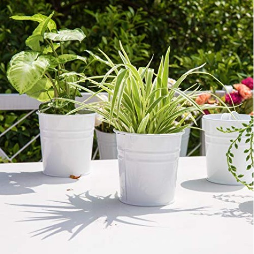 Dahey 8 Pcs Hanging Flower Pots Metal Iron Bucket Planter for Rail...
