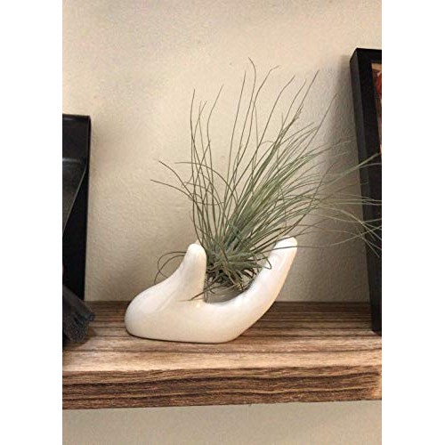 Dahey Air Plant Holder Cute Ceramic Mini Hand Shape Stand Airplant...