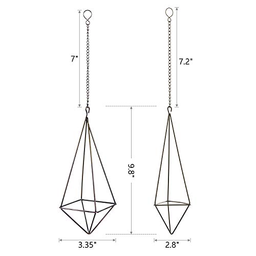 Dahey Hanging Air Plant Holder- 4 Pack, 2 Sizes Metal Airplant Rac...