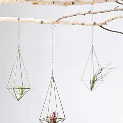 Dahey Hanging Air Plant Holder- 4 Pack, 2 Sizes Metal Airplant Rac...