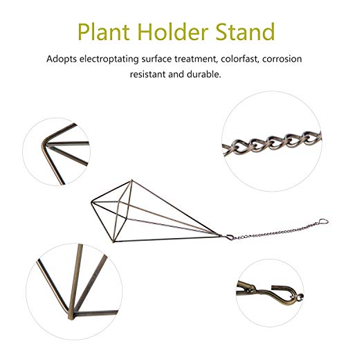 Dahey Hanging Air Plant Holder- 4 Pack, 2 Sizes Metal Airplant Rac...