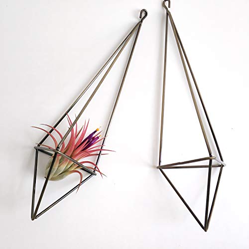 Dahey Hanging Air Plant Holder- 4 Pack, 2 Sizes Metal Airplant Rac...