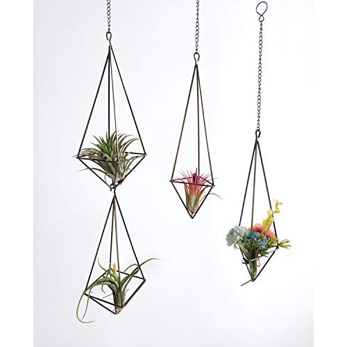 Dahey Hanging Air Plant Holder- 4 Pack, 2 Sizes Metal Airplant Rac...