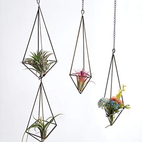 Dahey Hanging Air Plant Holder- 4 Pack, 2 Sizes Metal Airplant Rac...