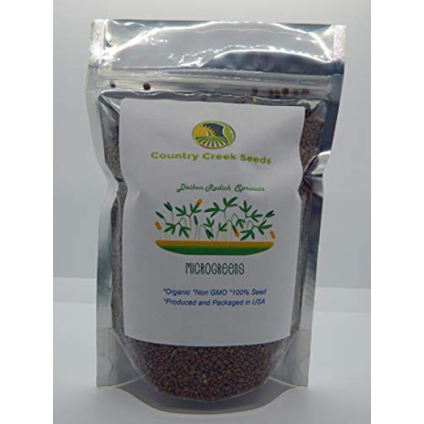 Daikon Radish, Microgreen, Sprouting, 4 OZ, Organic Seed, NON GMO ...