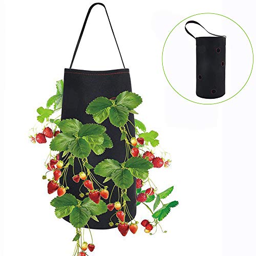 Daily necessities Felt Planting Bag, Hanging Strawberry Planting B...
