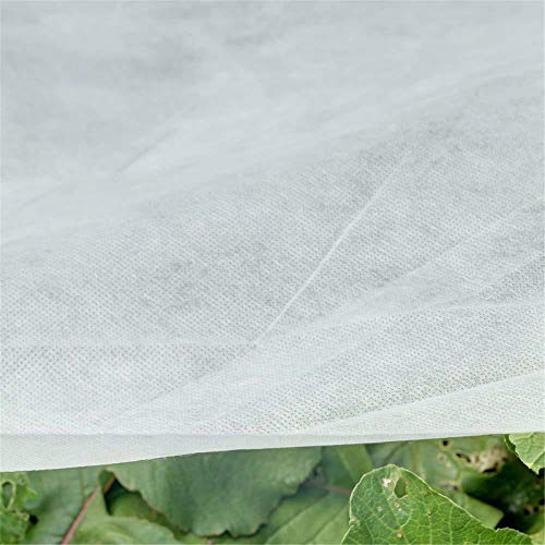 Clear Greenhouse Film 63×197 inches Garden Clear Polyethylene Plas...