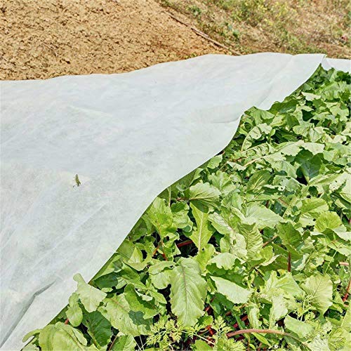 Clear Greenhouse Film 63×197 inches Garden Clear Polyethylene Plas...