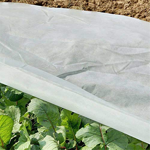 Clear Greenhouse Film 63×197 inches Garden Clear Polyethylene Plas...