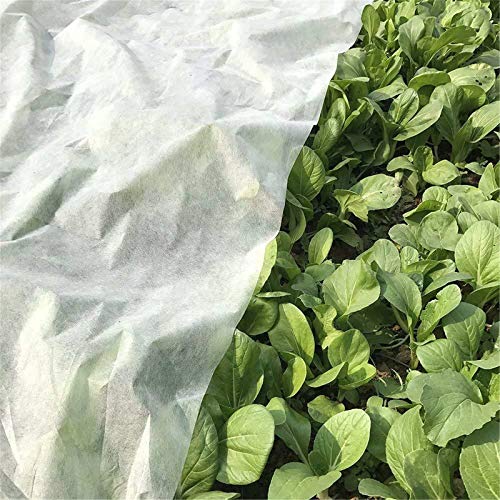 Clear Greenhouse Film 63×197 inches Garden Clear Polyethylene Plas...