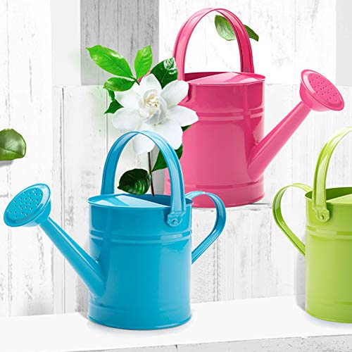 DAMEING Iron Watering Can Metal Watering Can Copper Accents with A...