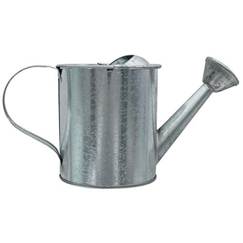 Darice Metal Watering Can: Galvanized, 3.5 x 7.5 inches