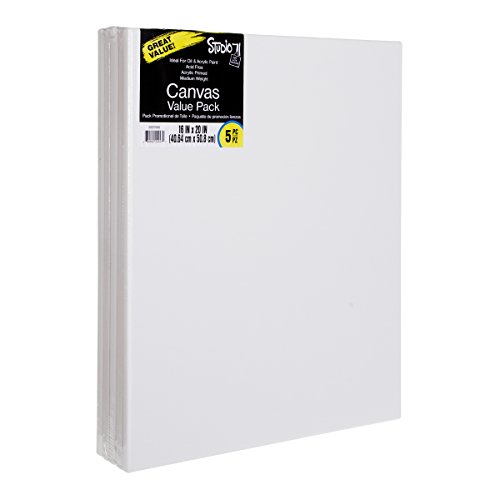 Darice Studio 71, 5 Piece, 16 by 20 inch, Stretched Canvas Value P...